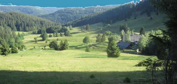 Windbergtal-Panorama